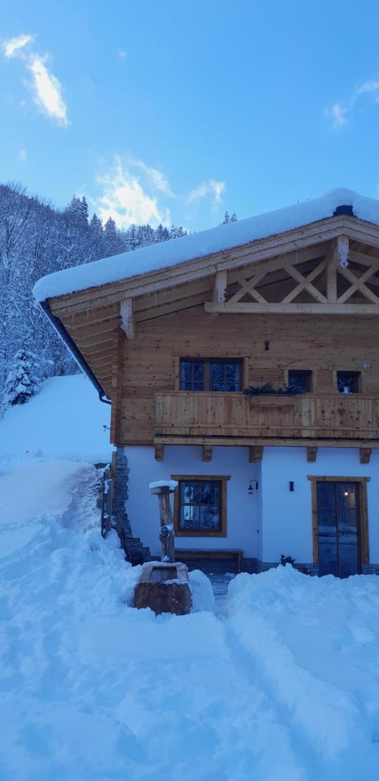 Riedlfeld Chalet ดีนเทน อัม โฮคเคอนิก ภายนอก รูปภาพ
