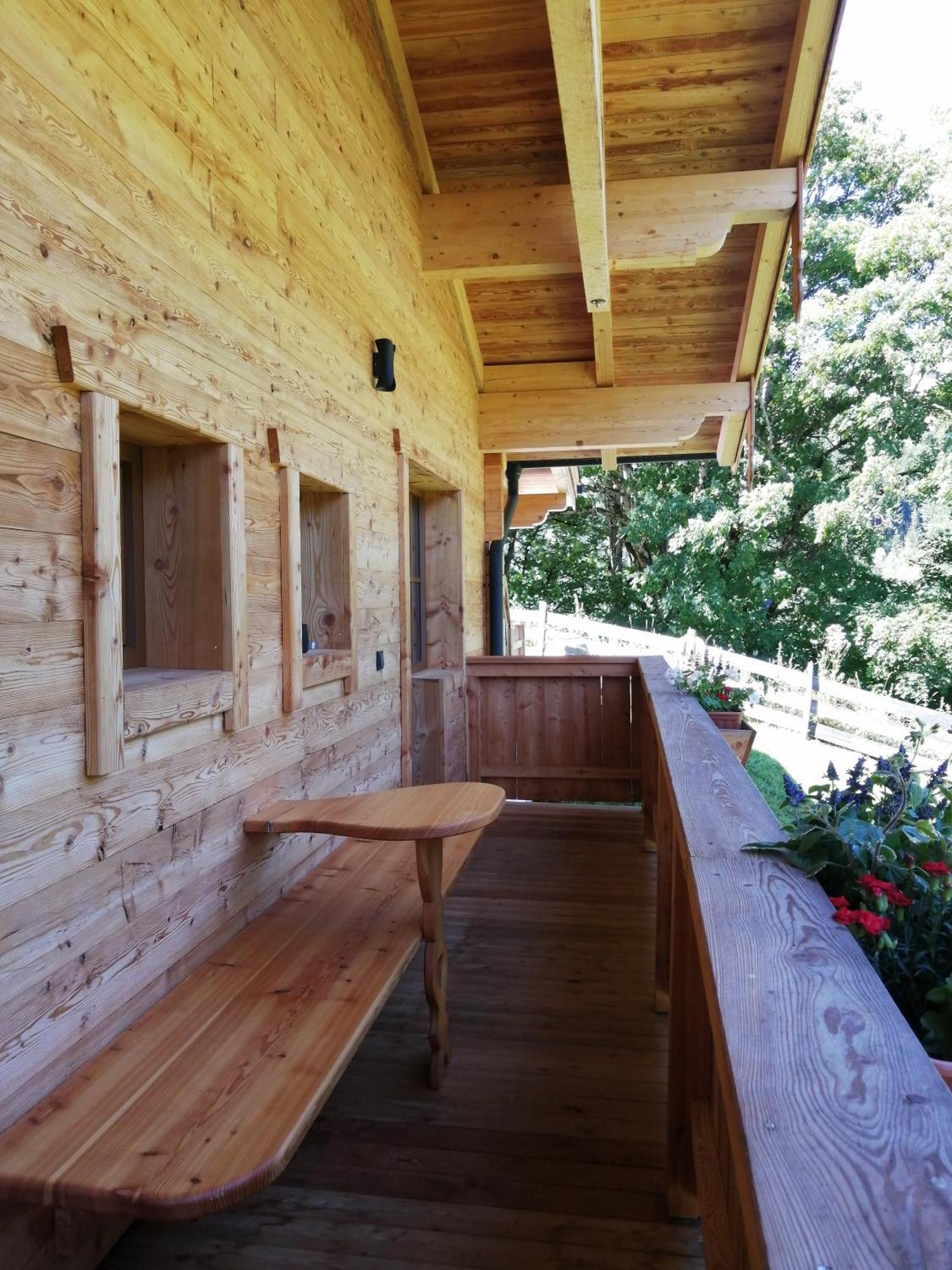 Riedlfeld Chalet ดีนเทน อัม โฮคเคอนิก ภายนอก รูปภาพ